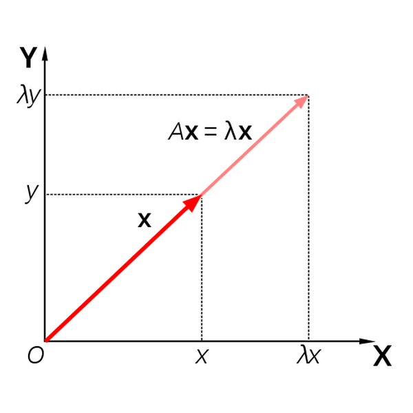 Eigenvalues to Eigenvectors: A Step-by-Step Calculation Guide