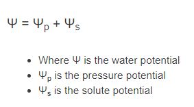 5 Simple Steps to Calculate Water Potential