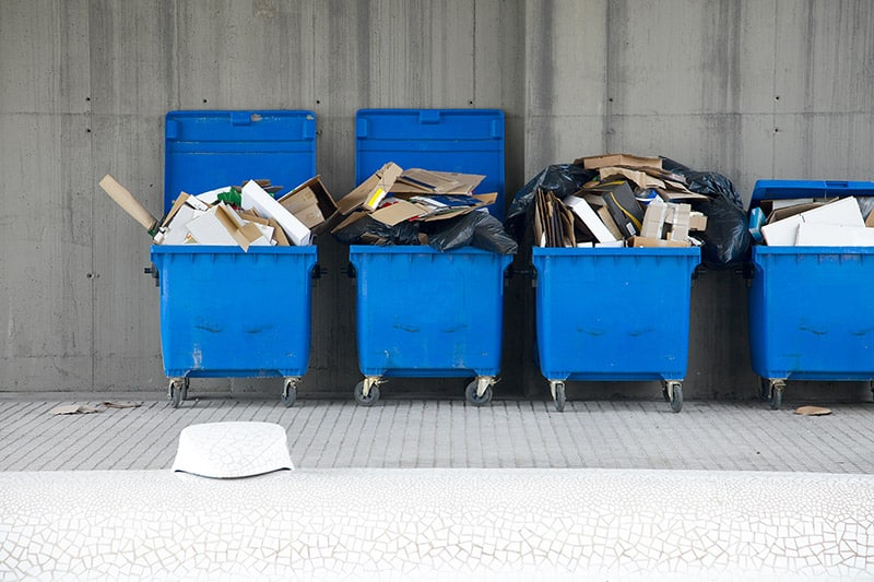 Is Dumpster Diving Illegal in Arizona? Laws Explained