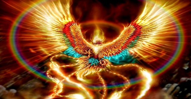 New Facts You Don T Know About The Legend Of The Phoenix New Facts You Don T Know About The Legend Of The Phoenix